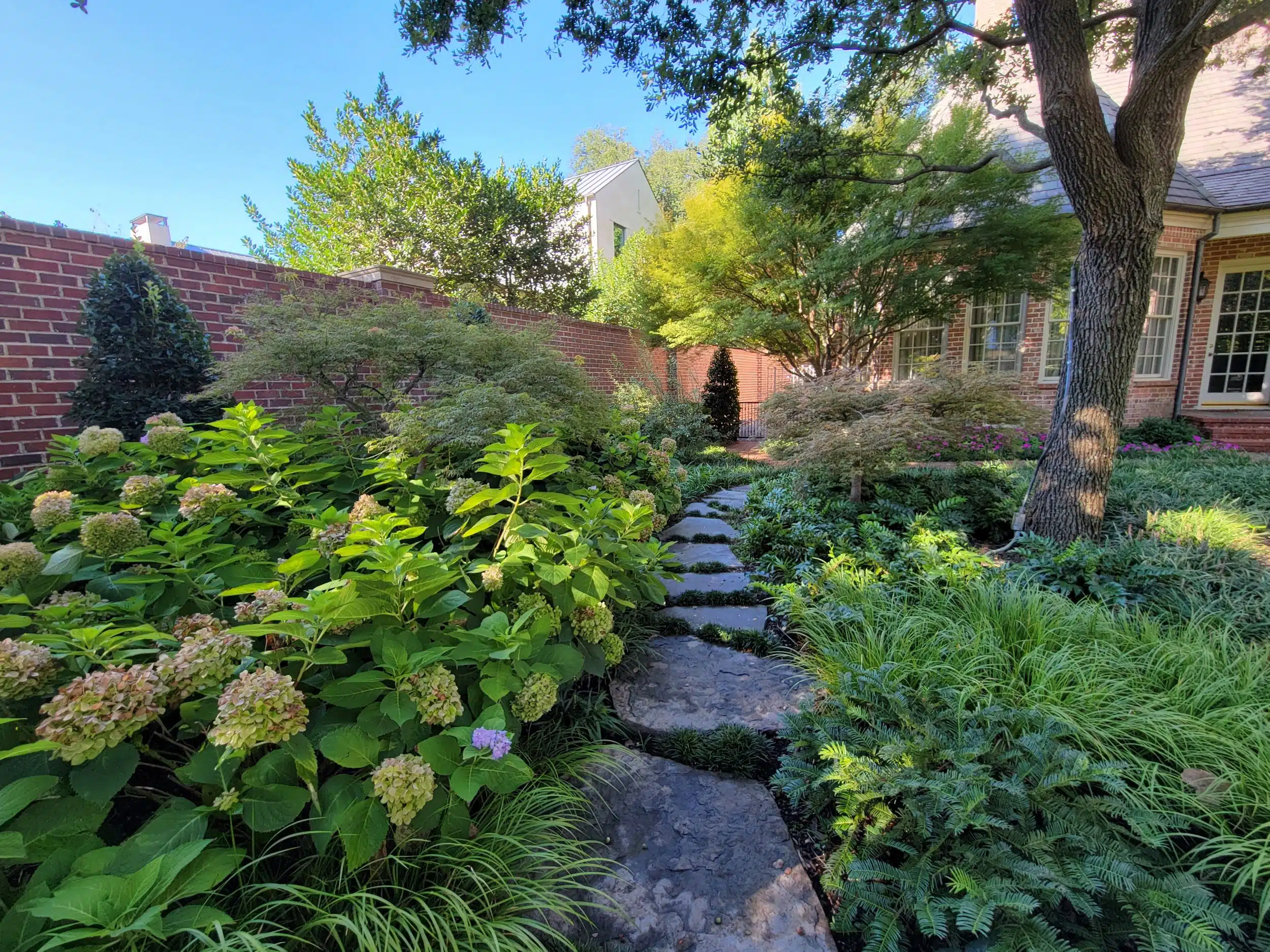 Landscaping in Mckinney